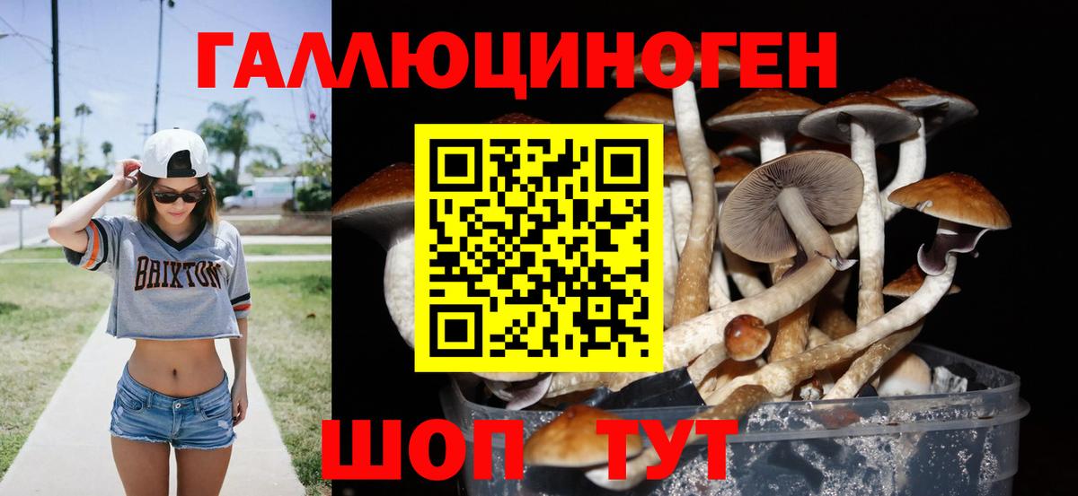 где найти наркотики  Псилоцибиновые грибы Cubensis  Вход с VPN  Бугуруслан 